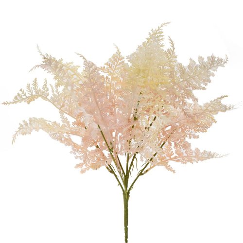 Zeleň papraď ružová 42cm