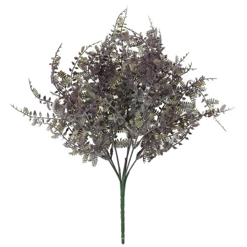 Zeleň papraď modro-sivá 40cm