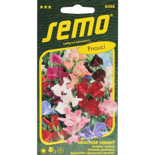 Hrachor voňavý spencer 2g