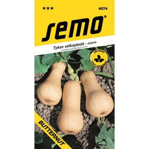 Tekvica butternut 2g 1