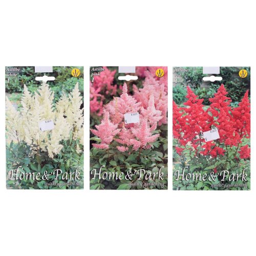 Astilbe pink, red, white - Umelé kvety