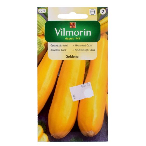 Tekvica obyč. - cuketa goldena 2g 10/15