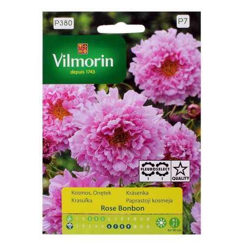 Krasuľka rose bonbon 0,5g