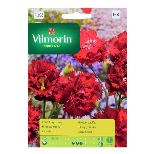 Klinček záhradný szabo picotte 0,5g - Vianočné dekorácie a ozdoby