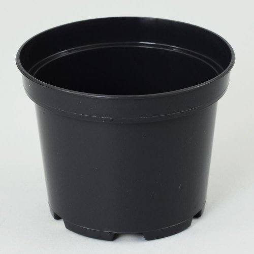 Kontajner 15cm, 1,5l sbx