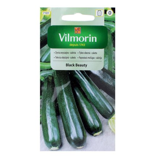 Tekvica obyč. - cuketa black beauty 2g