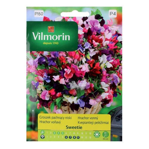 Hrachor voňavý 1g - Vianočné dekorácie