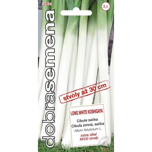 Cibuľa long white koshigayazimná, sečka 1g - Vianočné dekorácie a ozdoby