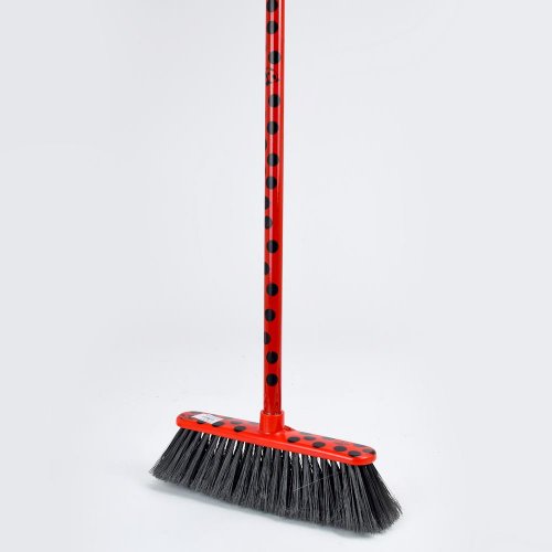 Metla s násadou lienka