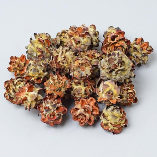 T136 pubescens small 200g