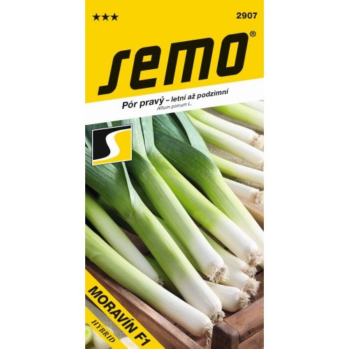 Pór pestovaný moravín f1 2g - Umelé kvety