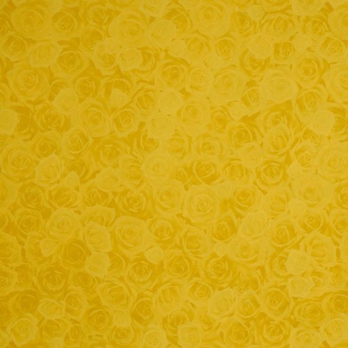 Fólia žlté ruže 40my 0,80x40 m
