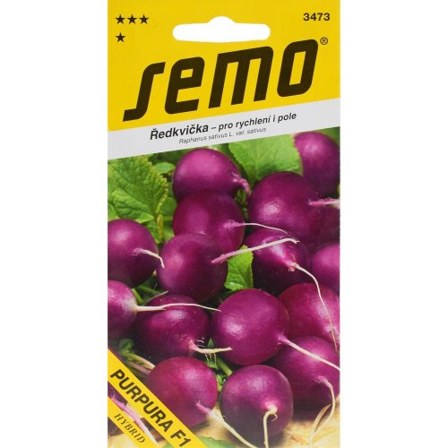 Reďkovka purpura f1