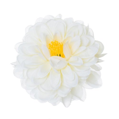 Hlava dahlia smotanová 10cm bal:12ks - Umelé kvety