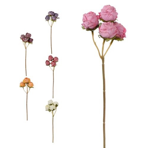 Ks ruža viackvetá bez listov 6f 30cm