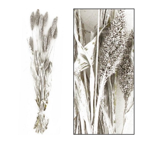 Setaria sušená zv. parta 66x15x6cm