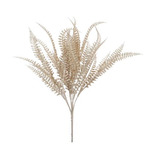 Zeleň papraď šampáň 42cm