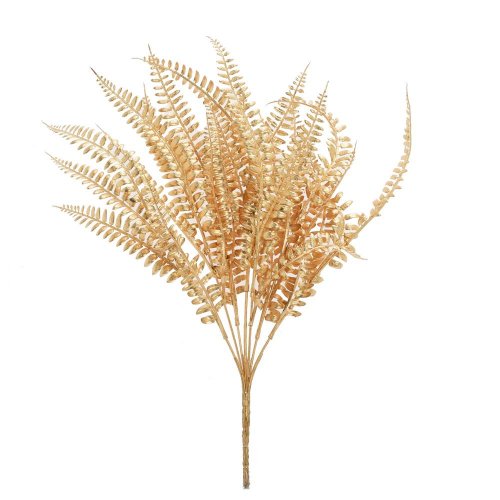 Zeleň papraď zlatá 42cm