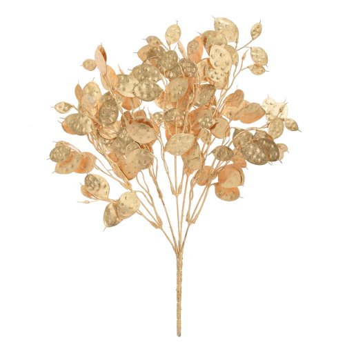 Zeleň lunaria zlatá 37cm