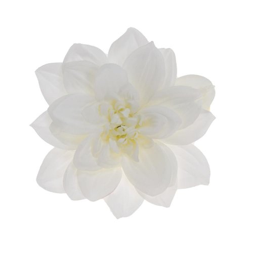 Hlava dahlia 14cm bal.12ks biela - Umelé kvety