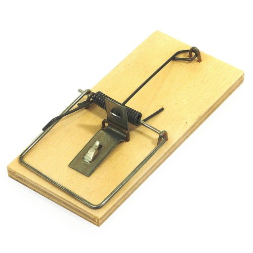 Pasca na myši drevená