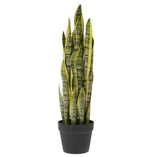 Sansevieria v kvetináči(16*13cm) 63cm x21 - Umelé kvety