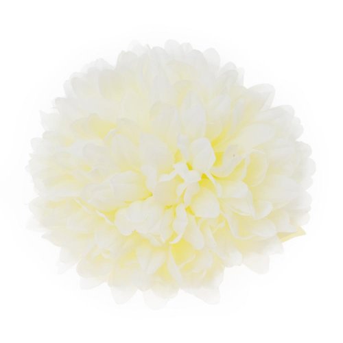 Hlava chryzantéma krémová 10cm