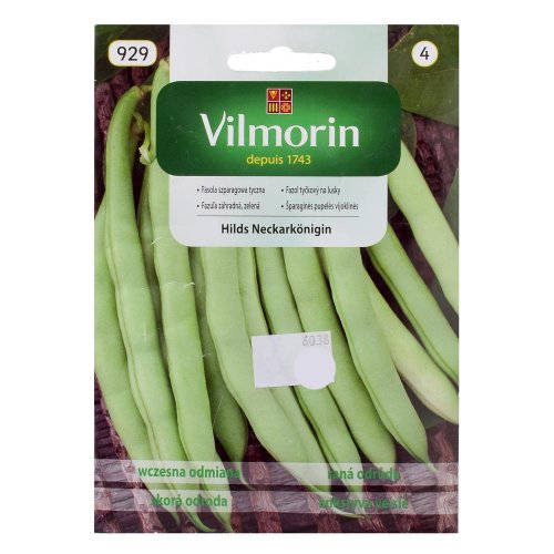 Fazuľa kol. hilds neckarkonigin 10g