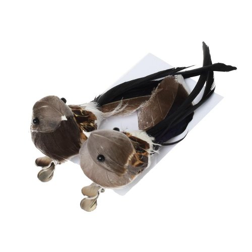 Vtáčiky hnedé na štipci 11x3x5cm mix