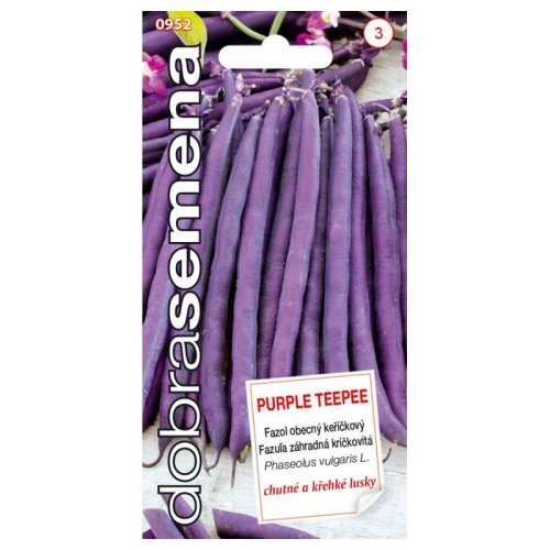Fazuľa záhr. kríč. purple teepee 10g