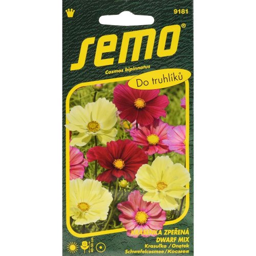 Krasuľka dwarf mix 40s