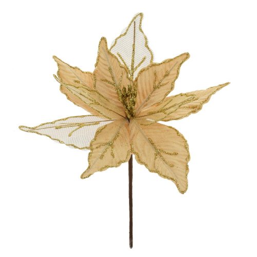 Ks vianočná ruža zlatá 25cm