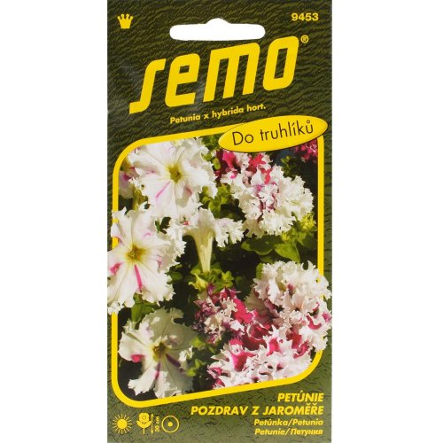Petunia veľkokv pozdrav z jaroměře 50p