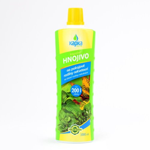 Kapka izbové nekvitnúce 1l 6/k.