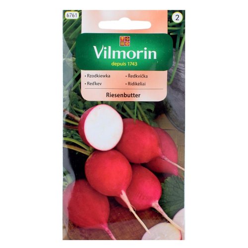 Reďkev riesenbutter 10g - Umelé kvety
