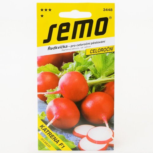 Reďkovka katrena f1