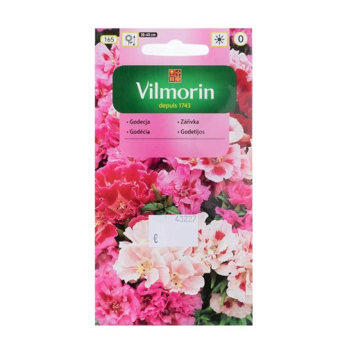 Godécia veľkokvetá 1g