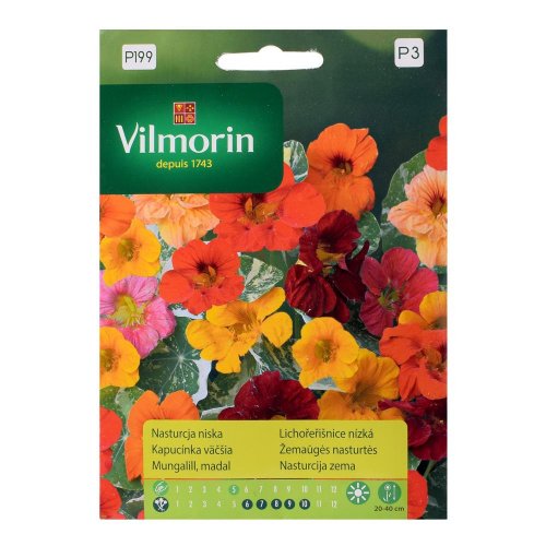 Kapucínka vačšia alaska 2g