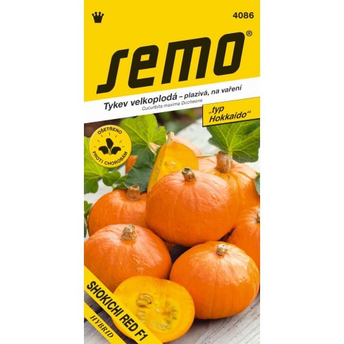 Tekvica shokichi red f1 8s.