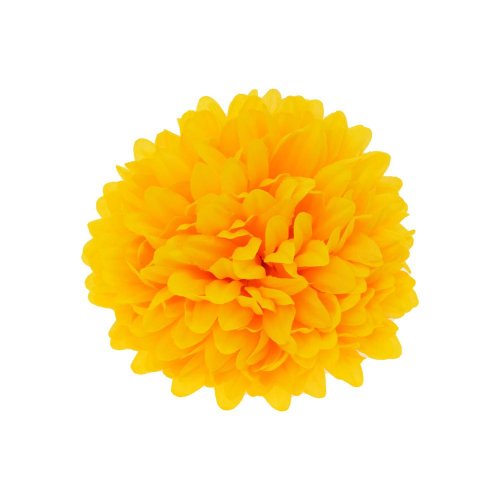 Hlava chryzantéma žltá 10cm