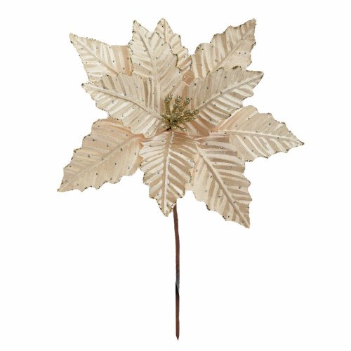 Zápich vianočná ruža šampáň 30cm