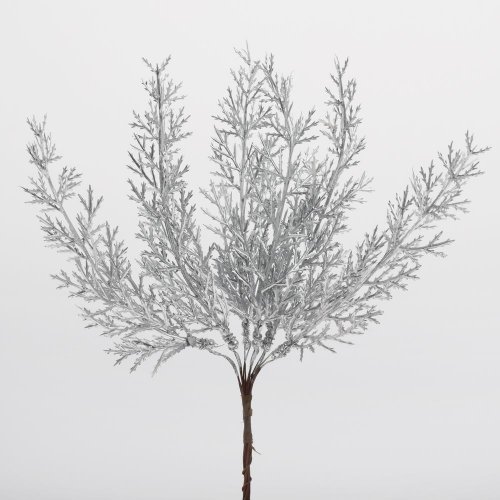 Zápich tuja strieborná 20cm