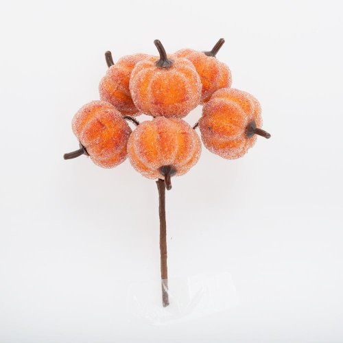 Zápich tekvice ľadové s/6 14cm - Jesenné dekorácie