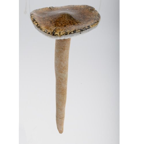 Hríb zel/bie keram. 9,8*9,8*21,3cm