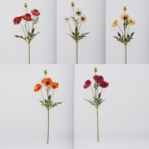 Ks papaver mix/5f 68cm