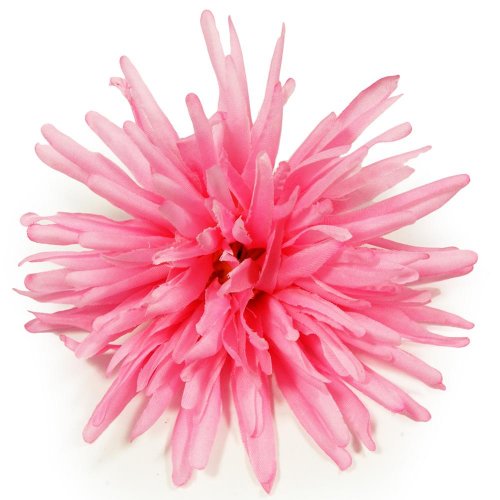 24flk02-0226 hlava chryz. strapatá ruž. priem:13cm bal:12ks