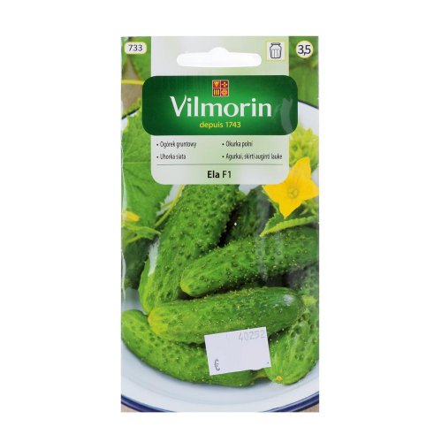 Uhorka siata ela 5g - Umelé kvety