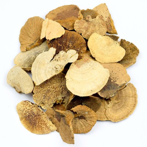 Sponge mushroom mix 250g i195npacz /i430pacz