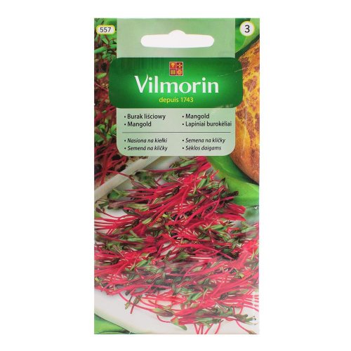 Mangold na klíčky 10g