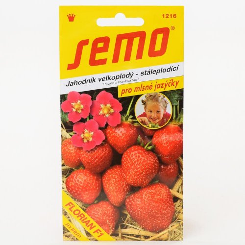 Jahoda florian f1 - veľkoplodá 15s